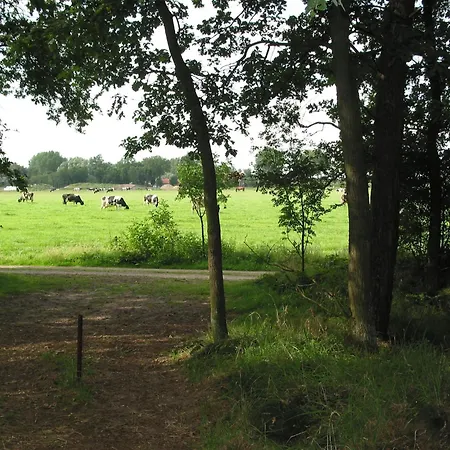Ecological Surrounded By Nature Herpen