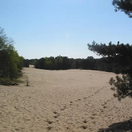 Modern Lakeside Escape Vakantiehuis Herpen