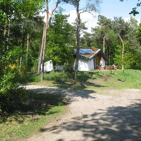 Ecological Surrounded By Nature *