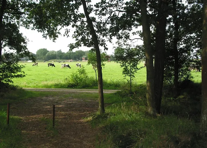 Modern Lakeside Escape Herpen